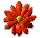 ICQ